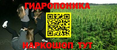 ECSTASY Тара
