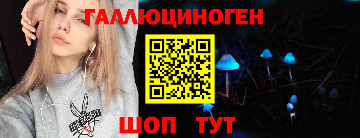 Галлюциногенные грибы Psilocybine cubensis  Вход с VPN  Шахты  Псилоцибиновые грибы прущие грибы 