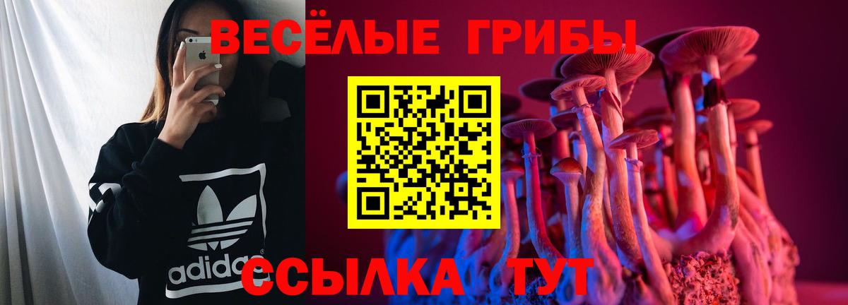 Псилоцибиновые грибы мицелий Шахты
